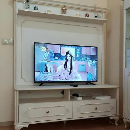 Cozy And Fully Furnished
